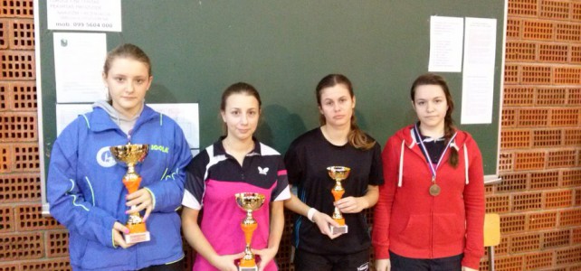 Samobor 1. pozivni turnir STS Zagrebačke županije Samobor 1. pozivni turnir STS Zagrebačke županije