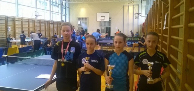 Top 8 Zagrebačke županije Top 8 Zagrebačke županije