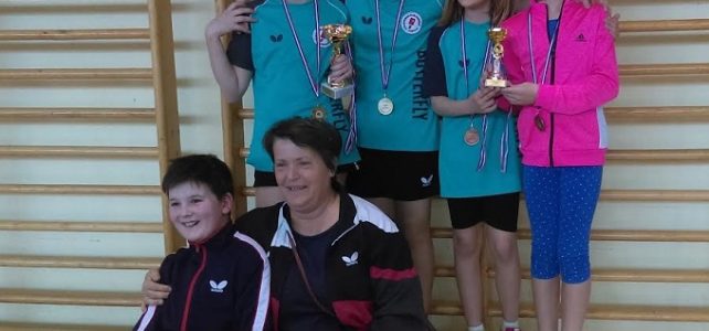 Županijske lige i Lige nada Županijske lige i Lige nada