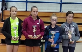 11. kup Grada Bjelovara 11. kup Grada Bjelovara