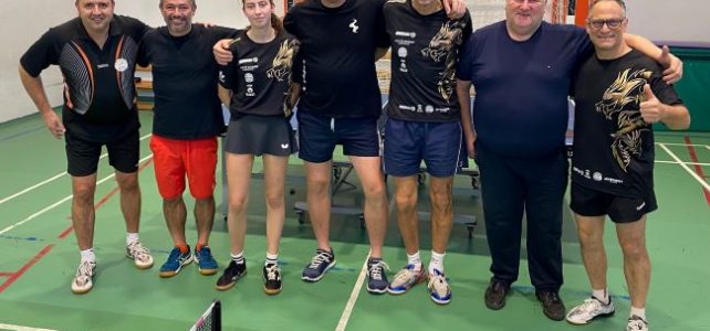 Sportski susreti Brežice – Samobor