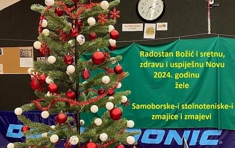 Radostan Božić i sretna ova 2024. godina